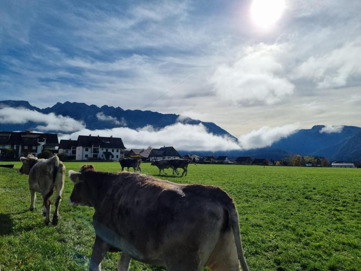 Urlaub Am Bauernhof Bei Familie Steinbrecher Bad Mitterndorf Eksteriør bilde