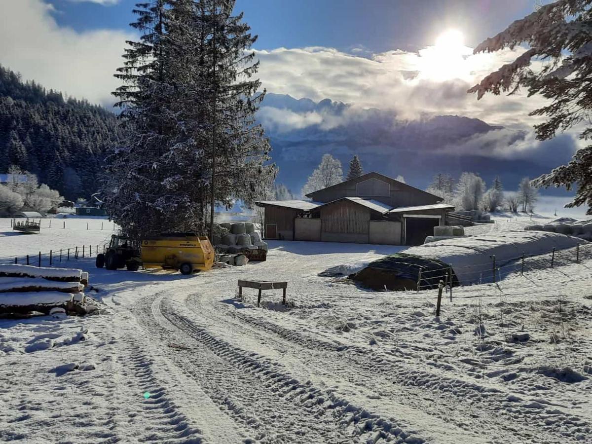 Urlaub Am Bauernhof Bei Familie Steinbrecher Bad Mitterndorf Eksteriør bilde